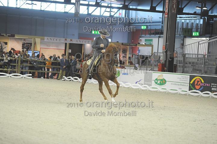 www.davidemombelli.com
