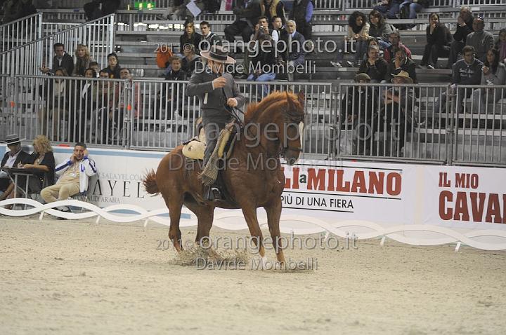 www.davidemombelli.com