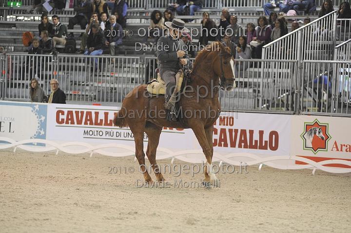www.davidemombelli.com
