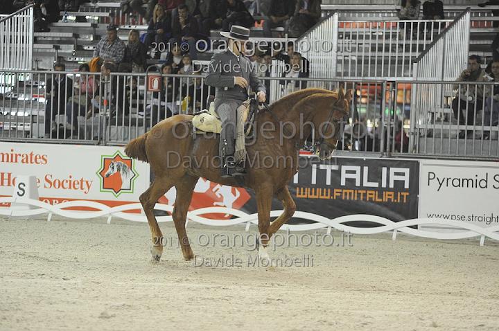 www.davidemombelli.com
