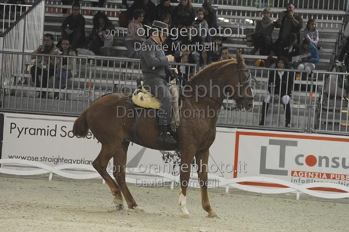 www.davidemombelli.com