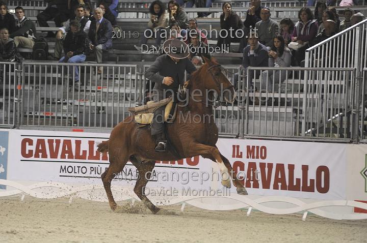 www.davidemombelli.com