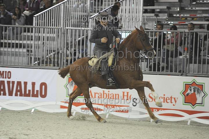 www.davidemombelli.com
