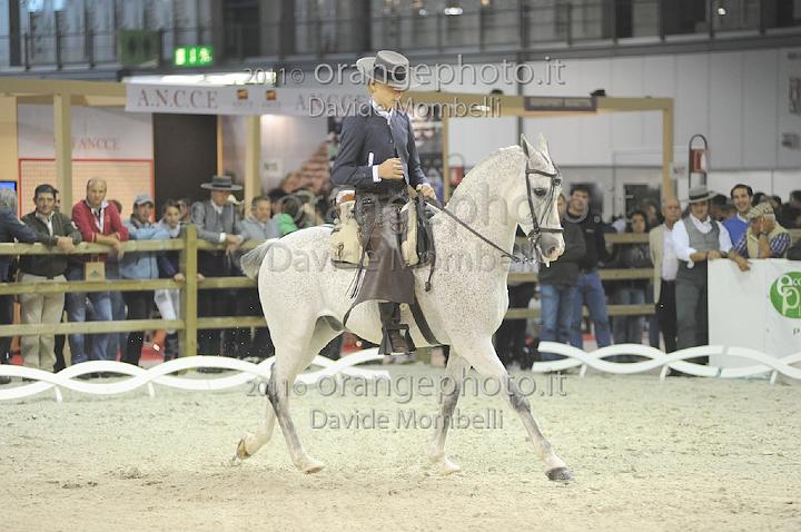 www.davidemombelli.com