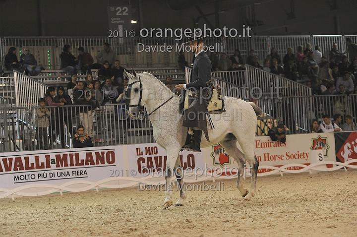 www.davidemombelli.com