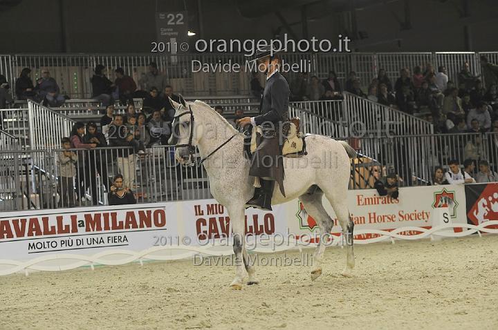 www.davidemombelli.com