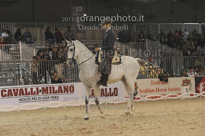 www.davidemombelli.com