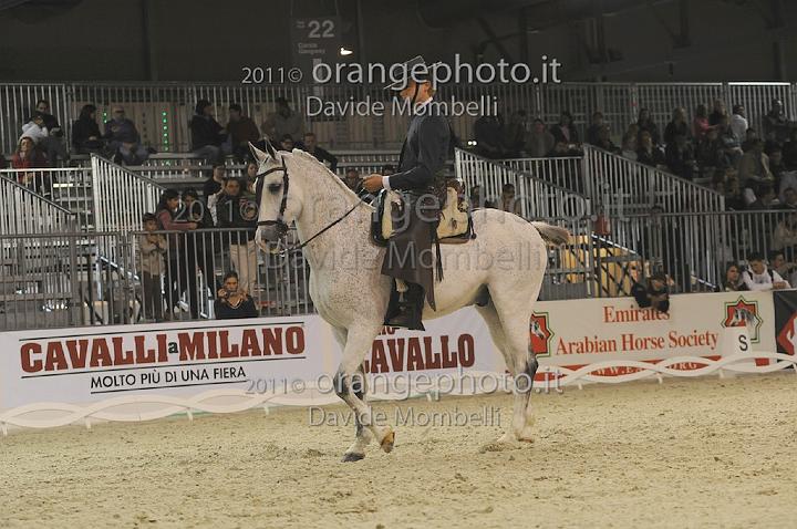 www.davidemombelli.com