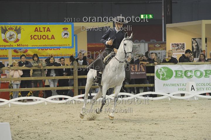 www.davidemombelli.com
