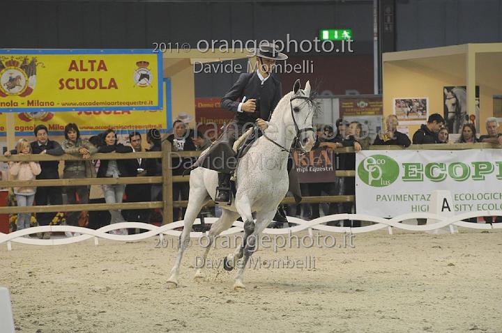 www.davidemombelli.com
