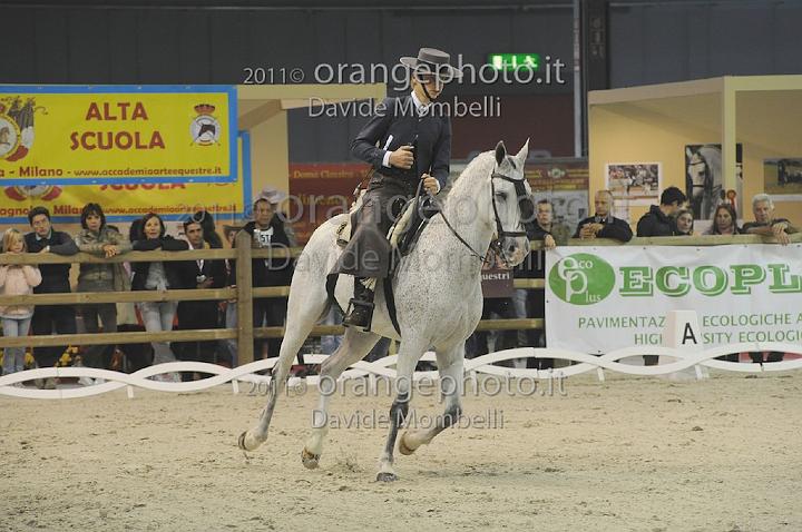 www.davidemombelli.com