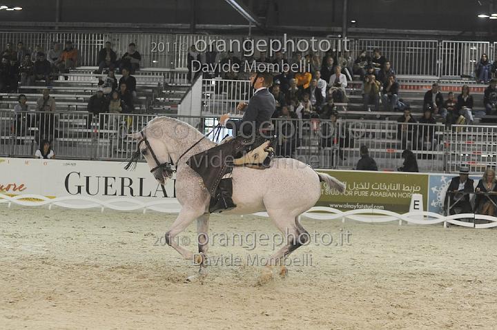 www.davidemombelli.com