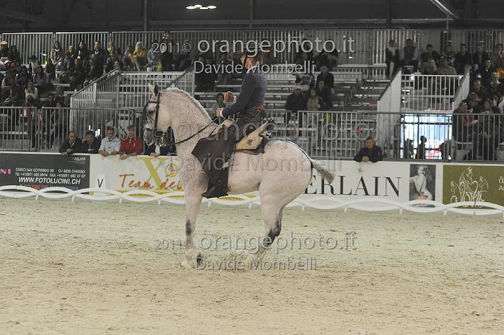 www.davidemombelli.com