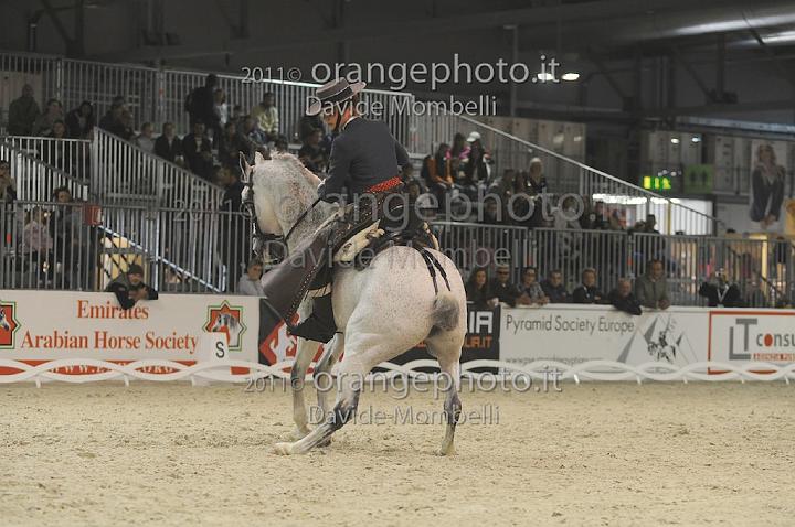 www.davidemombelli.com