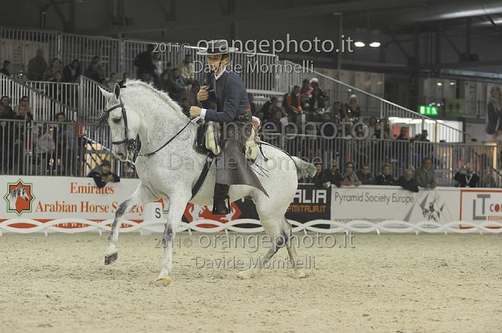 www.davidemombelli.com