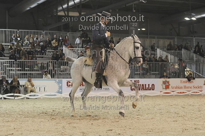 www.davidemombelli.com
