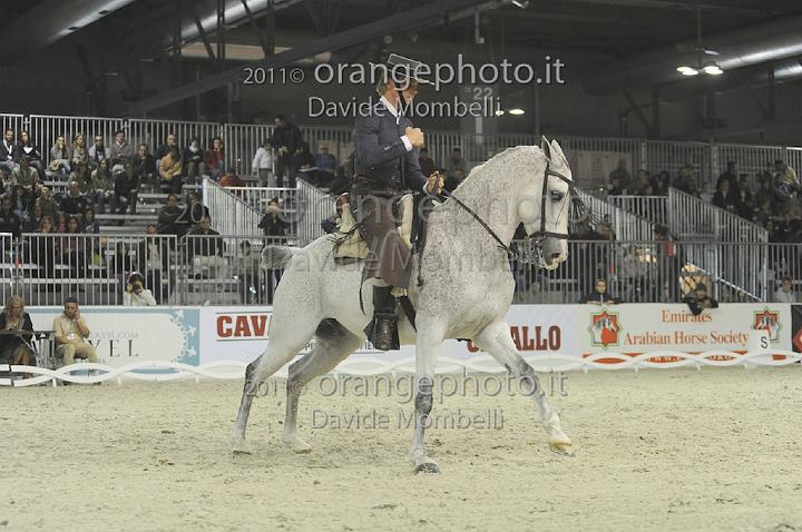 www.davidemombelli.com