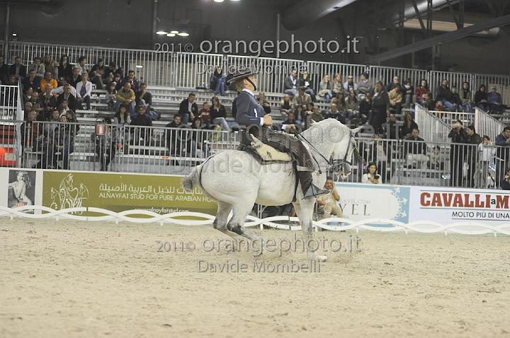 www.davidemombelli.com