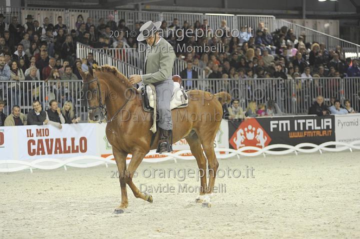 www.davidemombelli.com