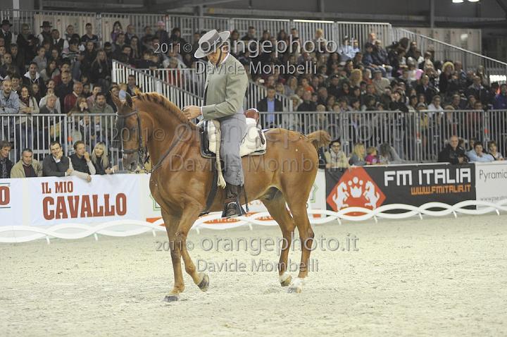www.davidemombelli.com