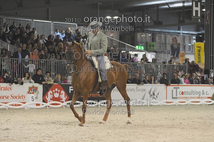 www.davidemombelli.com