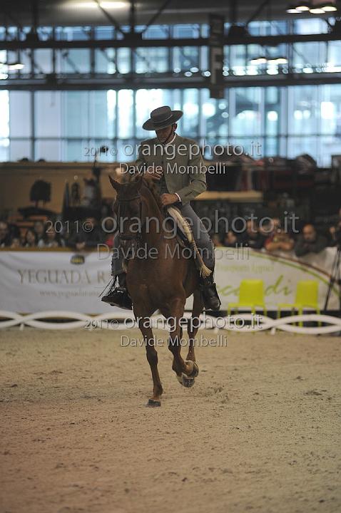 www.davidemombelli.com