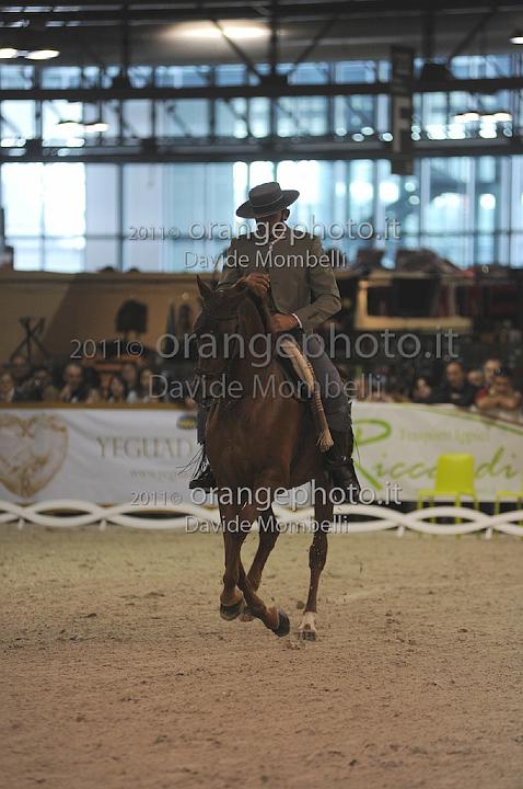www.davidemombelli.com
