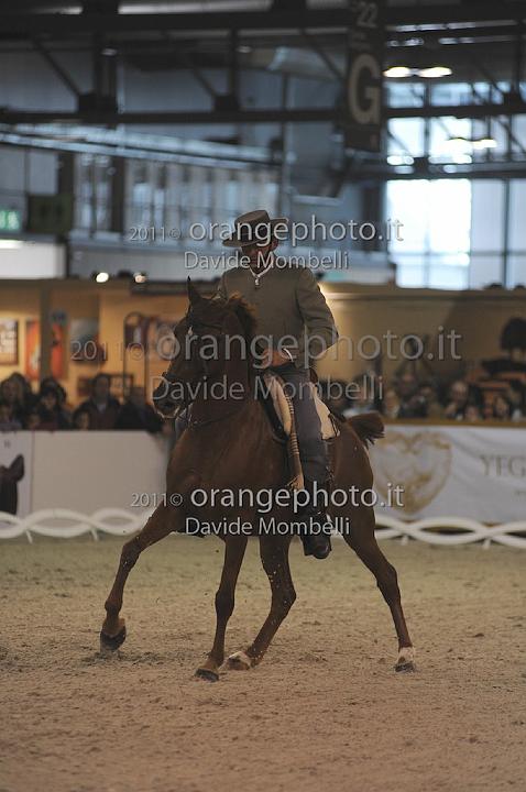 www.davidemombelli.com
