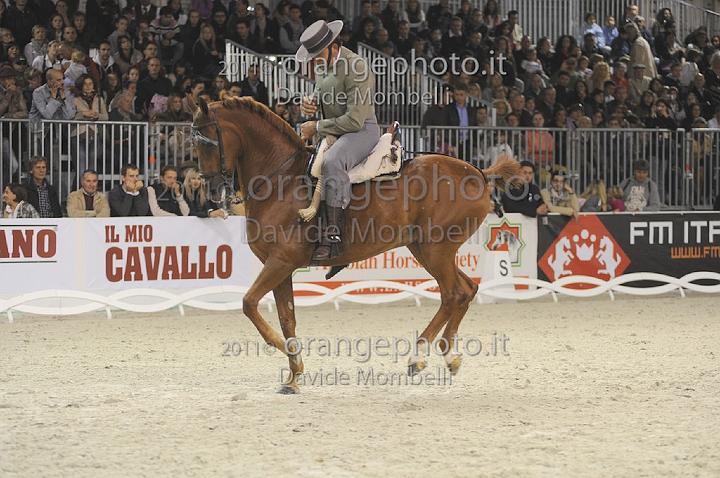 www.davidemombelli.com