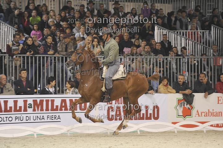 www.davidemombelli.com