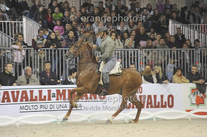 www.davidemombelli.com