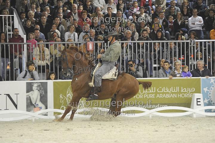 www.davidemombelli.com