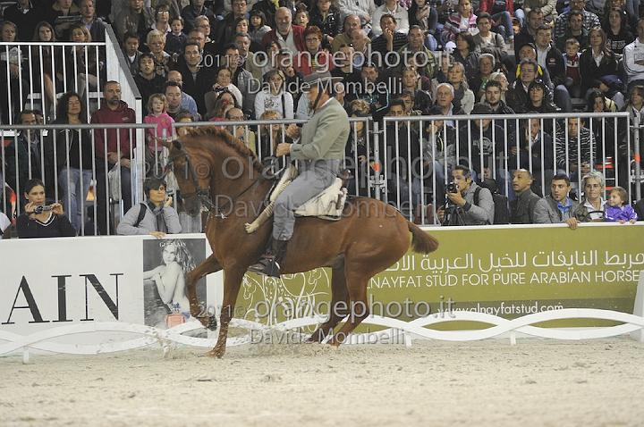 www.davidemombelli.com