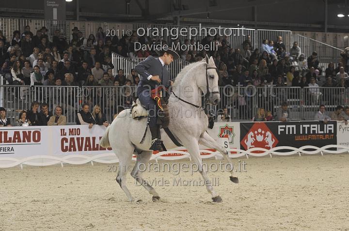www.davidemombelli.com