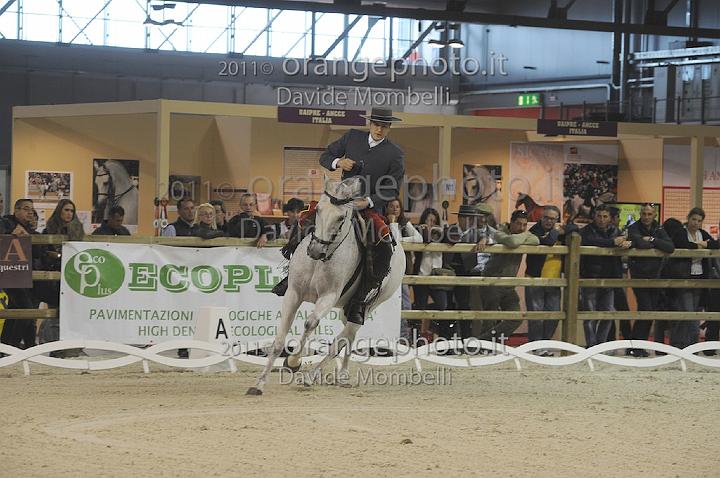 www.davidemombelli.com