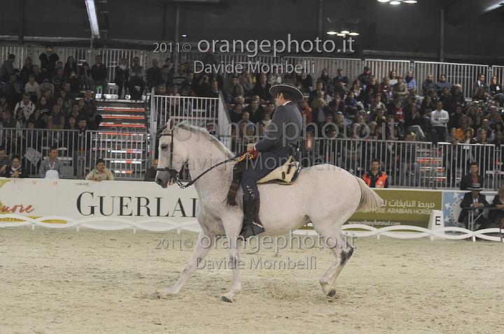www.davidemombelli.com