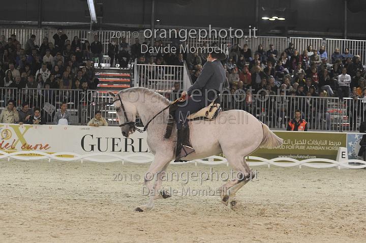 www.davidemombelli.com