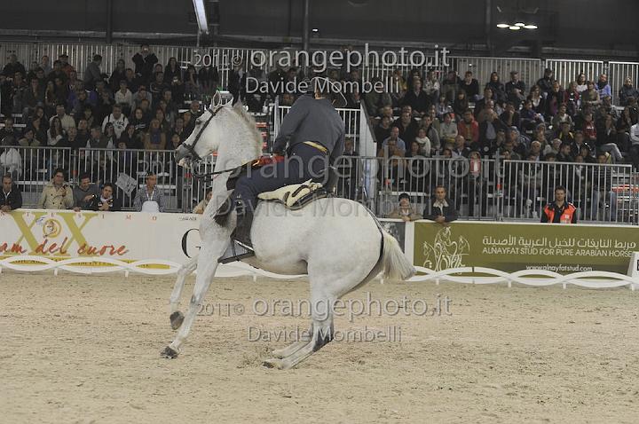 www.davidemombelli.com