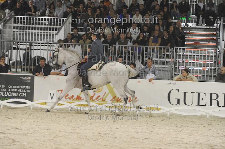 www.davidemombelli.com