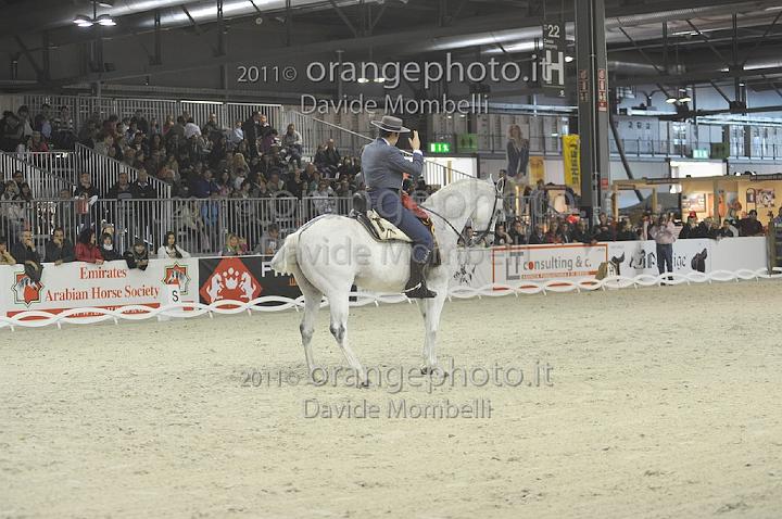 www.davidemombelli.com