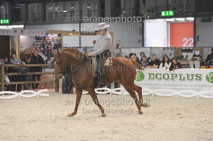 www.davidemombelli.com