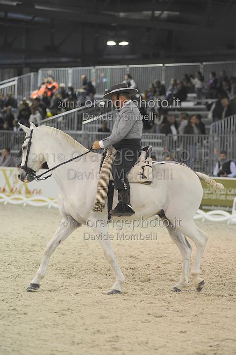 www.davidemombelli.com