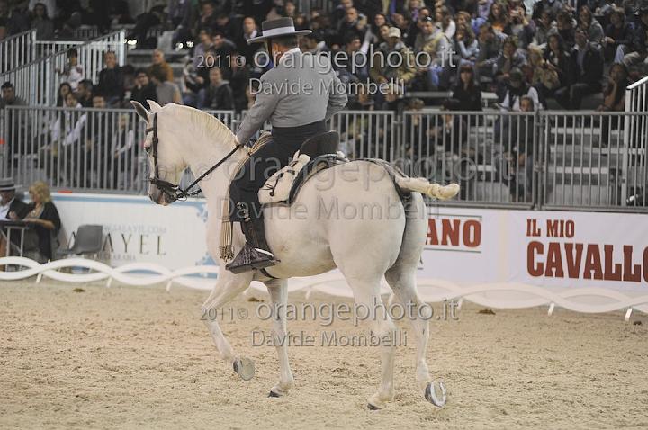 www.davidemombelli.com