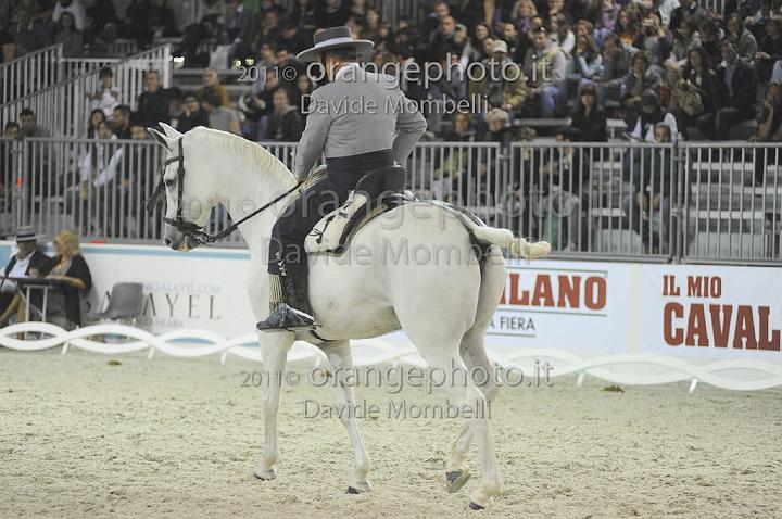 www.davidemombelli.com
