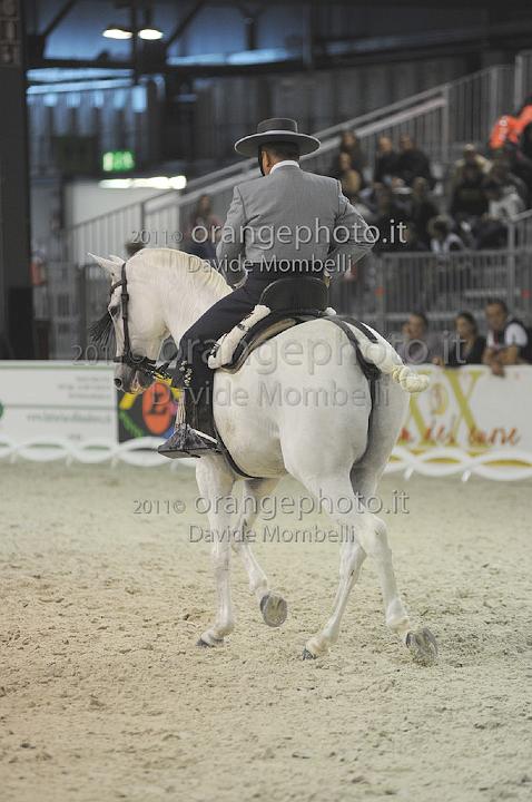 www.davidemombelli.com