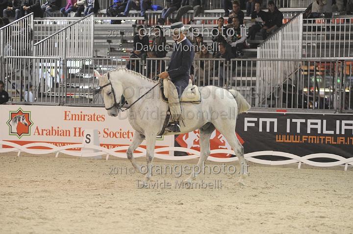 www.davidemombelli.com