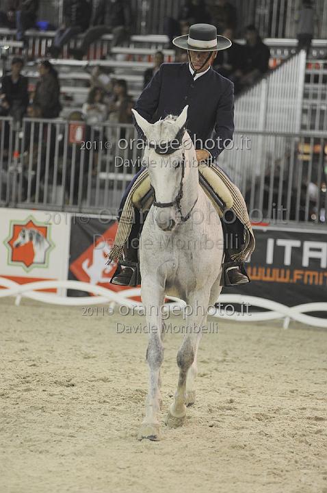 www.davidemombelli.com