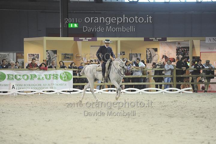 www.davidemombelli.com