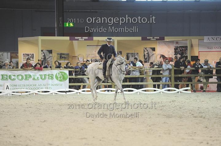 www.davidemombelli.com