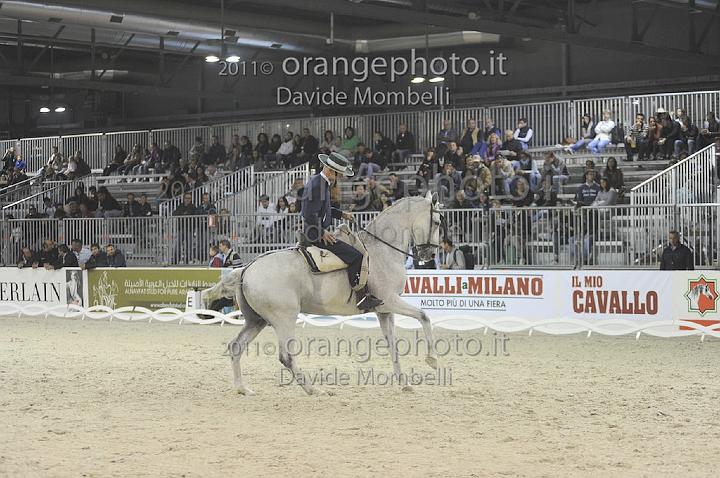 www.davidemombelli.com